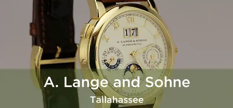  A. Lange and Sohne Tallahassee