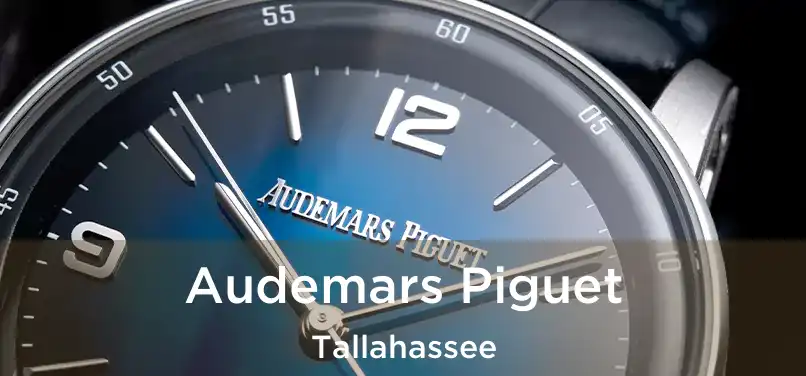  Audemars Piguet Tallahassee
