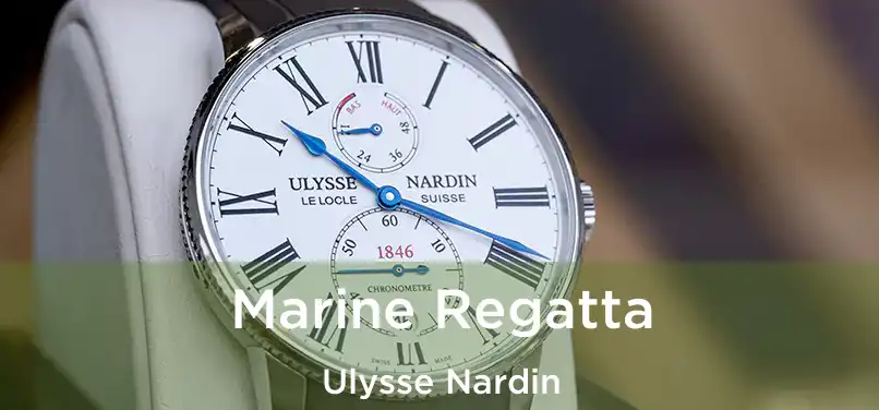  Marine Regatta Ulysse Nardin