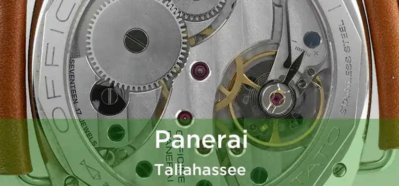  Panerai Tallahassee