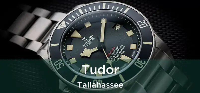  Tudor Tallahassee