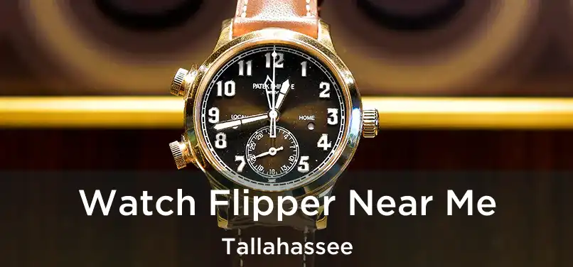  Watch Flipper Near Me Tallahassee