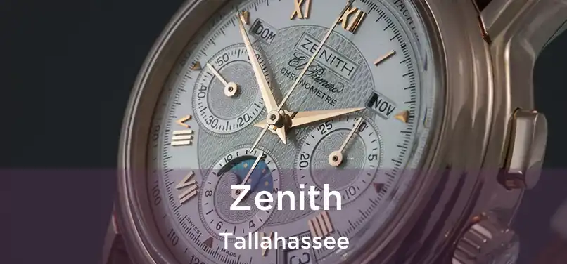  Zenith Tallahassee